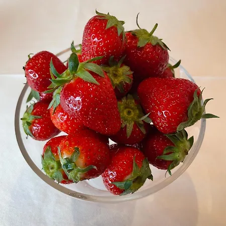 Séjour à la ferme Demarie Vezza d'Alba